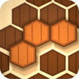 Programikonen: Wooden Hexa Puzzle