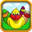 プログラムのアイコン：Angry Ducks
