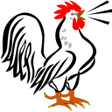 Programikonen: Poultry disease and treat…