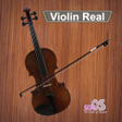 程序图标：Violin Real
