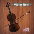 プログラムのアイコン：Violin Real
