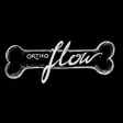 プログラムのアイコン：OrthoFlow