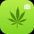 Ícone do programa: My Grow