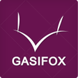 Programikonen: 가시여우 - gasifox