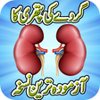 Ikon program: Kidney Stone Treatment Re…