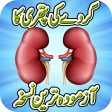 Kidney Stone Treatment Remedy