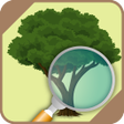 程序图标：Identifier trees and plan…