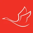 Programikonen: Gogobli Outlet Apps