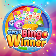 أيقونة البرنامج: Merge Bingo Winner