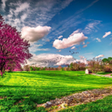 ไอคอนของโปรแกรม: Spring Wallpaper