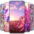 أيقونة البرنامج: Spring Wallpaper