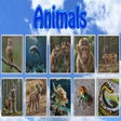 أيقونة البرنامج: Animals