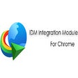 Programikonen: IDM Chrome Extension