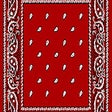 Иконка программы: Suwoo