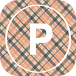 プログラムのアイコン：Pion Web Share photo vide…