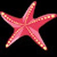 Ikon program: Starfix