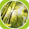 Icoon van programma: Relaxing music for sleepi…
