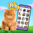 Ikon program: Cat Translator - Cat Soun…