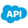 Programikonen: Salesforce Field API Name…