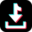 Icon of program: TipTop Video SaveNo Water…