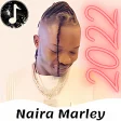 Naira Marley Songs All Albums