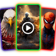 Programikonen: Live Video Wallpaper Make…