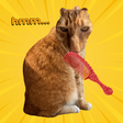 Иконка программы: Brush Jjaemu Filter Chall…