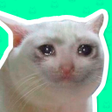 Programikonen: Best Cat Stickers for Cha…