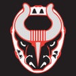 Icoon van programma: Birmingham Bulls