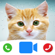 プログラムのアイコン：Cute Cat Prank Call - Fak…