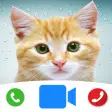 Cute Cat Prank Call - Fake Cal