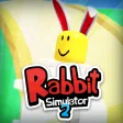 SKY CARROT Rabbit Simulator 2