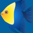 プログラムのアイコン：Fish Dont Cry