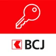 程序图标：BCJ Access