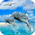 プログラムのアイコン：Dolphins 3D Video Wallpap…