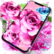 プログラムのアイコン：Rose pink water drop live…
