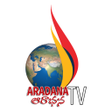 Programikonen: Aradana