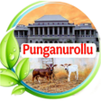 Programikonen: Punganurollu