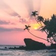 Icon of program: Paradise Wallpapers