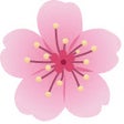 程序图标：Bloom - Unlimited Free Sc…
