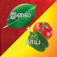 程序图标：Kandupidi solliadi tamil …