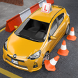 程序图标：Driving School Test