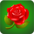 Programikonen: Rose Wallpaper HD