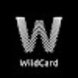 Programikonen: WildCard Proxy