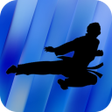 أيقونة البرنامج: Taekwondo Training - Vide…