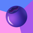程序图标：Blueberry VPN