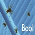 Ícone do programa: Boo!