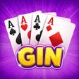 プログラムのアイコン：Gin Rummy Frenzy