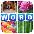 Biểu tượng của chương trình: Guess One Word