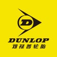 邓禄普商城 icon